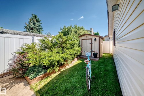 Side yard featuring a storage shed, white privacy fence, and established landscaping - 11708 138 Avenue Nw, Edmonton, AB 