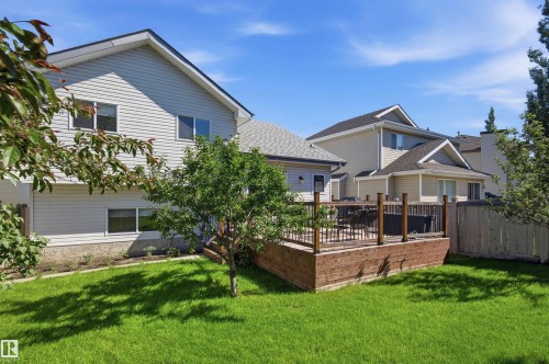 Spacious backyard featuring a manicured lawn, an elevated wood-finish deck with dark railings, mature trees, and a privacy fence - 11715 11B Avenue, Edmonton, AB 