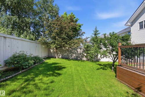 Manicured lawn with mature trees and perimeter fencing - 11715 11B Avenue, Edmonton, AB 