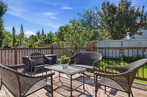 Spacious wood-finish deck featuring a dark wood-tone railing with black balusters, surrounded by mature trees - 11715 11B Avenue, Edmonton, AB 