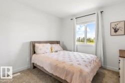 Bright room with light grey walls and neutral carpet flooring - 