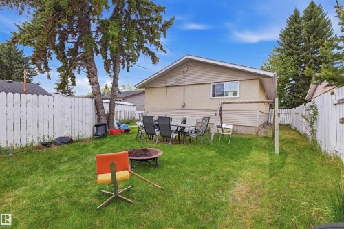 Spacious backyard featuring a substantial lawn area, white picket fencing, and mature evergreen trees - 8911 169 Street Nw, Edmonton, AB 