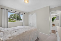 Bright room with light-toned walls and neutral carpeting - 