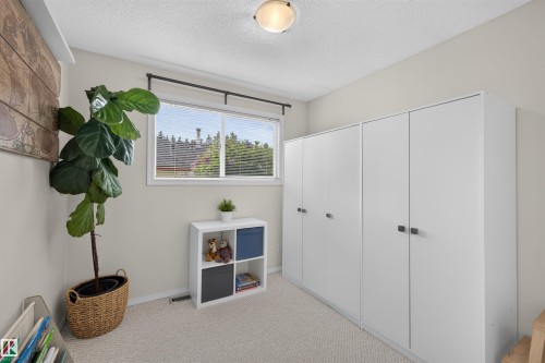 Recessed window with blinds, light wall paint, textured ceiling, flush mount ceiling light, and wall-to-wall carpeting - 244 Knottwood Road N, Edmonton, AB 