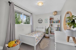 Bright room featuring a window with exterior tree scenery, soft neutral wall colors, and textured carpeting - 