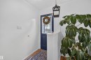Entryway featuring a navy blue door with leaded glass, wood-finish flooring, a decorative pendant light fixture, and a partial shiplap wall - 244 Knottwood Road N, Edmonton, AB 