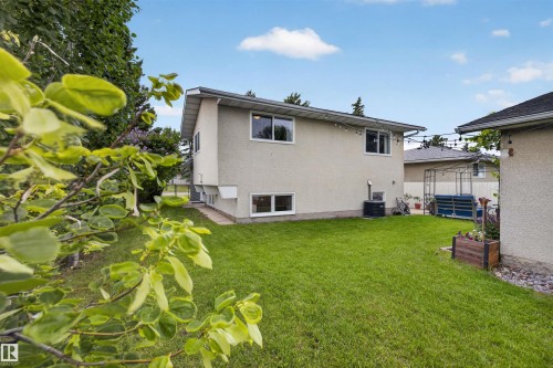 Expansive backyard featuring a lush lawn and established perimeter trees - 244 Knottwood Road N, Edmonton, AB 