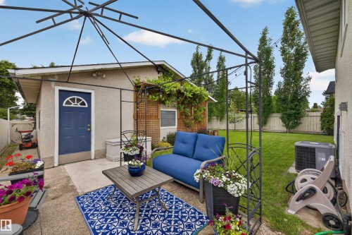 Expansive backyard featuring a large concrete patio, manicured lawn, and a detached structure with a blue entry door - 244 Knottwood Road N, Edmonton, AB 