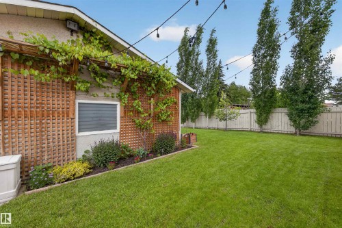 Expansive lawn area featuring a wooden lattice wall with climbing vines, mature trees along the perimeter, string lighting, and a garden bed with varied plantings - 244 Knottwood Road N, Edmonton, AB 