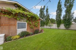 Expansive lawn area featuring a wooden lattice wall with climbing vines, mature trees along the perimeter, string lighting, and a garden bed with varied plantings - 