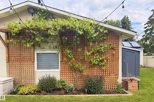 Garage exterior featuring a wood trellis with climbing foliage, a garden bed with plantings, and a small window - 244 Knottwood Road N, Edmonton, AB 