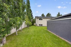 Expansive green lawn with a privacy fence, mature trees, and a detached building featuring textured siding - 