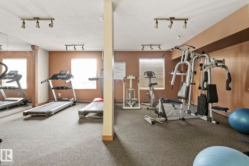 Dedicated fitness room featuring textured carpet flooring, multiple windows with horizontal blinds, and warm-toned wall paint - 421 9730 174 Street, Edmonton, AB 