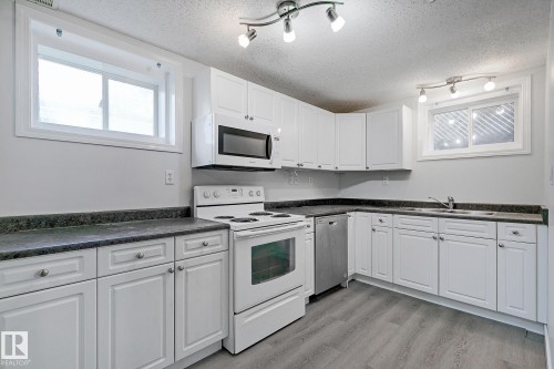 11930 56 Street, Edmonton, AB - Indoor Photo Showing Kitchen With Double Sink