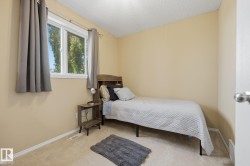 Carpeted room with a double-pane window - 