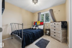 Carpeted bedroom featuring a double-pane window with exterior tree-line visibility, a distressed wood-finish dresser, and a ceiling-mounted light fixture - 