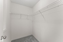 Walk-in closet featuring white wire shelving, gray textured carpeting, and a window for natural light - 