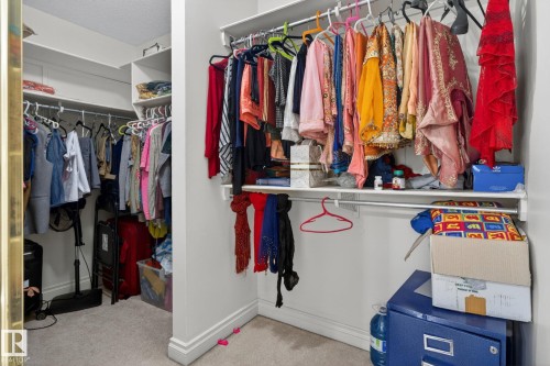 Walk-in closet featuring built-in shelving, white wall-mounted hanging rods, and light-toned carpeting - 4615 43A Avenue, Edmonton, AB - Indoor With Storage