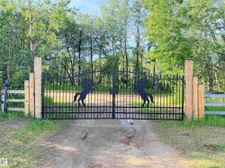 Wrought iron double gate with horse silhouette accents and robust log gate posts, set on a gravel driveway - 