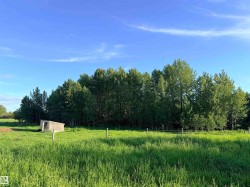 Expansive green field featuring mature trees along the perimeter and a rustic wire fence - 
