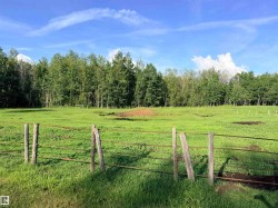 Expansive green pasture with a rustic wire fence and mature tree line - 