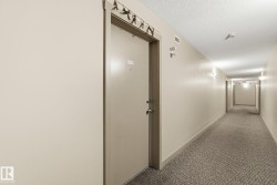 Long hallway with textured carpeting, cream-painted walls, and ceiling-mounted light fixtures - 