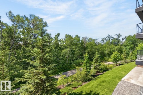 Expansive green space featuring a paved pathway, mature trees, manicured lawn, and multi-level balconies with dark railings - 207 5025 Edgemont Boulevard, Edmonton, AB 