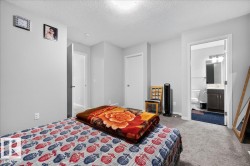 Spacious room with light gray walls, plush gray carpeting, and a private ensuite bathroom - 