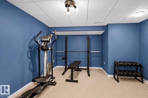 Finished lower level space featuring plush carpeting, drop ceiling with recessed lighting, and vibrant blue walls - 163 Galland Crescent, Edmonton, AB 