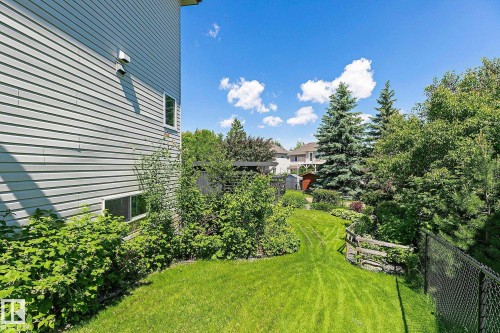 Expansive grassy lawn with established landscaping and mature trees - 163 Galland Crescent, Edmonton, AB 