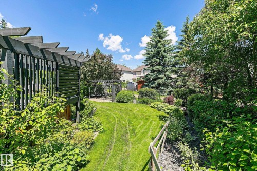 Expansive backyard featuring a lush lawn, mature trees, and established shrubbery - 163 Galland Crescent, Edmonton, AB 