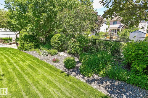 Manicured lawn with distinct stripes and an adjacent rock garden featuring diverse plantings - 163 Galland Crescent, Edmonton, AB 
