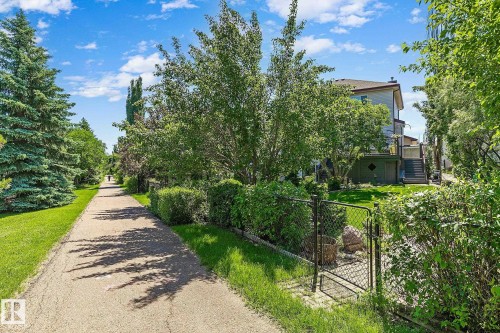 Paved pathway bordered by mature evergreen and deciduous trees - 163 Galland Crescent, Edmonton, AB 