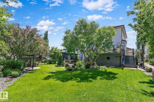 Expansive backyard with a manicured lawn, established trees, and a ground-level patio - 163 Galland Crescent, Edmonton, AB 