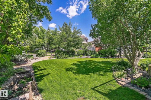 Expansive green lawn with mature trees and a curved paver pathway - 163 Galland Crescent, Edmonton, AB 