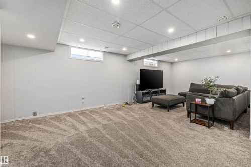 10130 62 Street, Edmonton, AB - Indoor Photo Showing Basement
