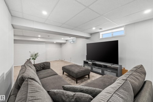 10130 62 Street, Edmonton, AB - Indoor Photo Showing Basement