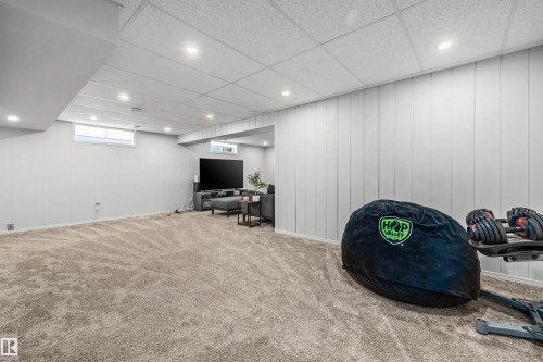 10130 62 Street, Edmonton, AB - Indoor Photo Showing Basement