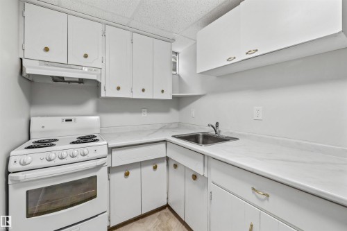10130 62 Street, Edmonton, AB - Indoor Photo Showing Kitchen
