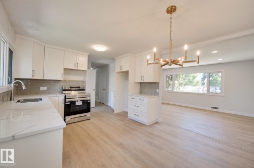 10130 62 Street, Edmonton, AB - Indoor Photo Showing Kitchen With Double Sink