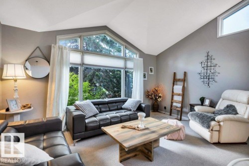 Vaulted ceiling living space featuring a large picture window, a secondary transom window, gray wall tones, and neutral carpeting - 11742 29 Avenue, Edmonton, AB 