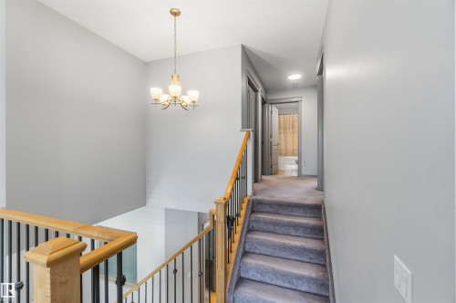 Carpeted staircase with light wood handrails and black metal balusters - 3061 Spence Wynd, Edmonton, AB 