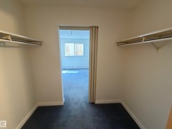 Walk-in closet featuring carpet flooring, built-in shelving, and a hanging rod - 