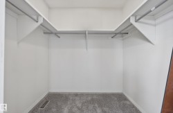 Spacious walk-in closet featuring light grey carpeting, white walls, and built-in shelving with integrated hanging rods - 