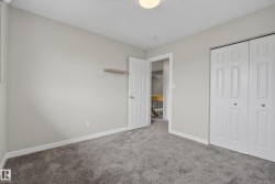 Neutral gray walls complement the plush gray carpeting - 