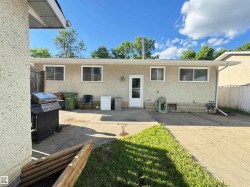 Rear exterior featuring stucco siding, multiple windows, and a back entry door - 
