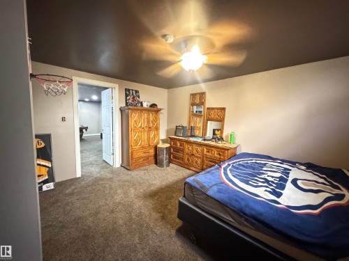 Carpeted room with a ceiling fan light fixture and a dark painted ceiling - 45 Lambert Crescent, St. Albert, AB 
