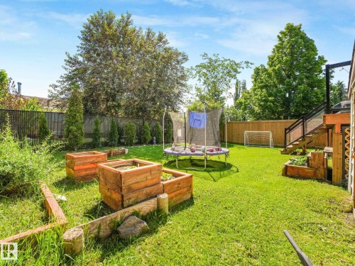Expansive backyard featuring a lush green lawn, raised wooden garden beds, a privacy fence, and mature trees along the perimeter - 2035 49A Street, Edmonton, AB 