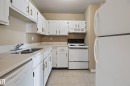 #603 10175 109 St Nw, Edmonton, AB  - Indoor Photo Showing Kitchen With Double Sink 