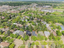 Residential neighborhood with mature trees and established homes - 